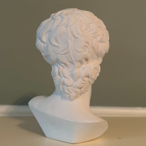 Michelangelo's David Bust - Picture 6 of 16
